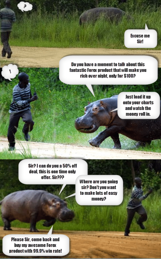 forex hippo