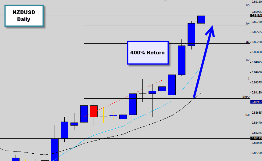 NZDUSD Rejection Candle | Returns a massive 400%