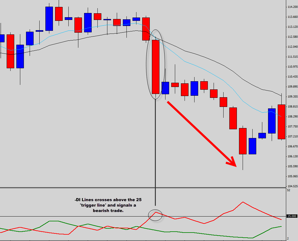 bear 25 dmi trade