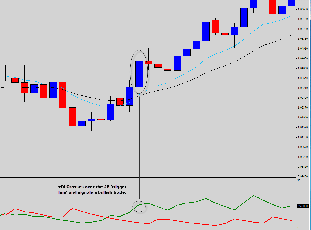 bull 25 dmi trade