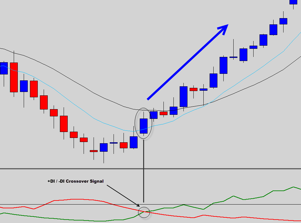 dmi bull crossover