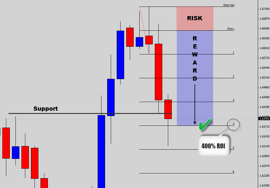 eurnzd 400 roi