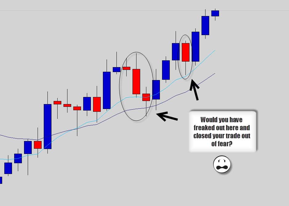 Forex historical data trade development