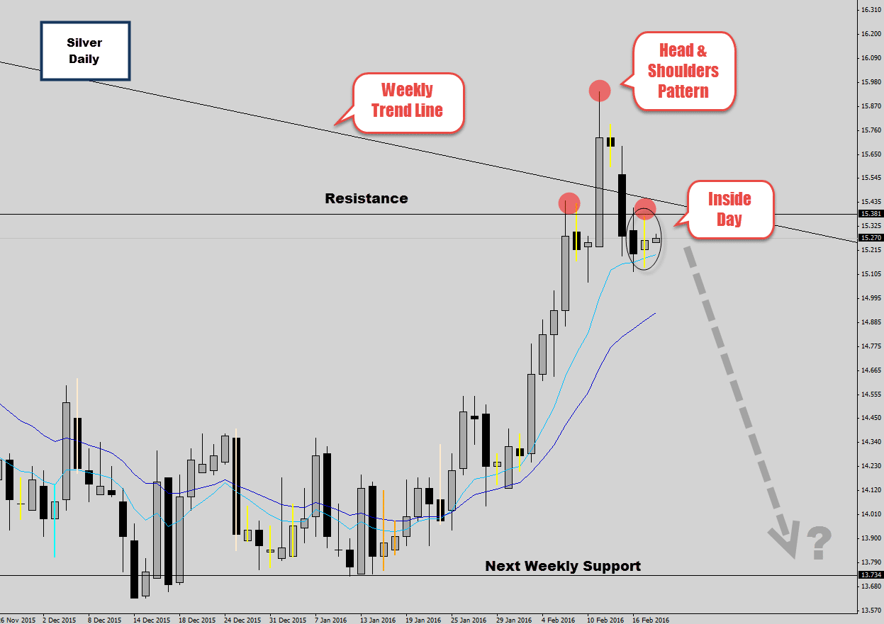 silver head and shoulders