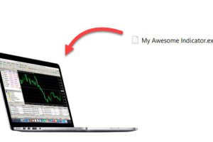 Dale woods forex