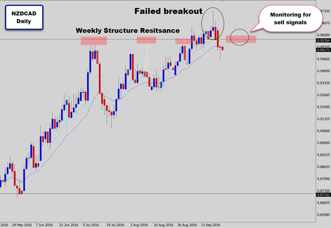 nzdcad-major-level