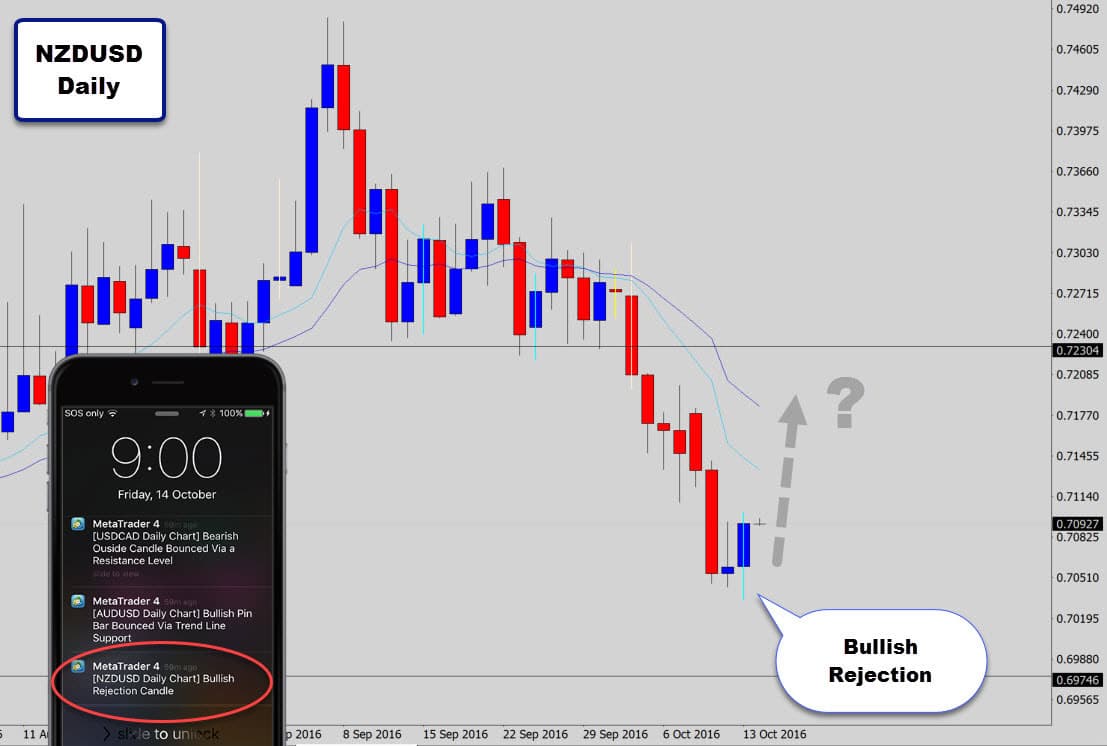 nzdusd bullish alert