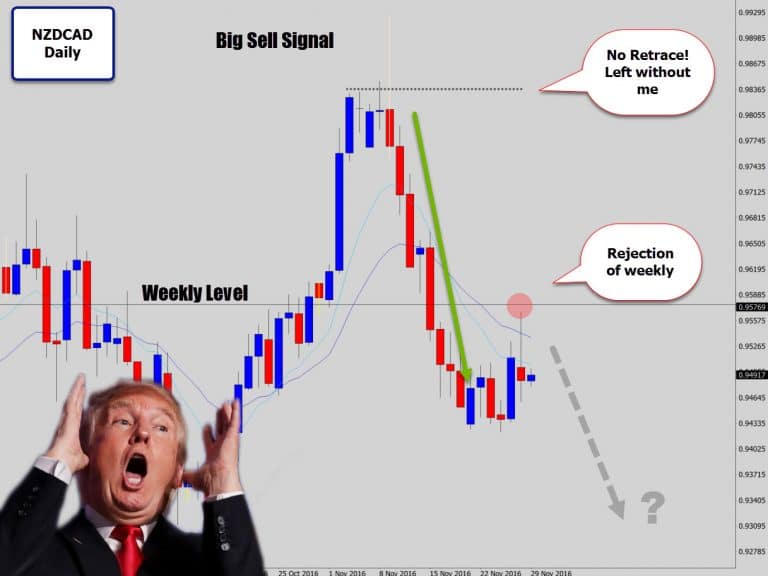 Donald Trump Helps Create A Large Bearish Rejection Signal on NZDCAD