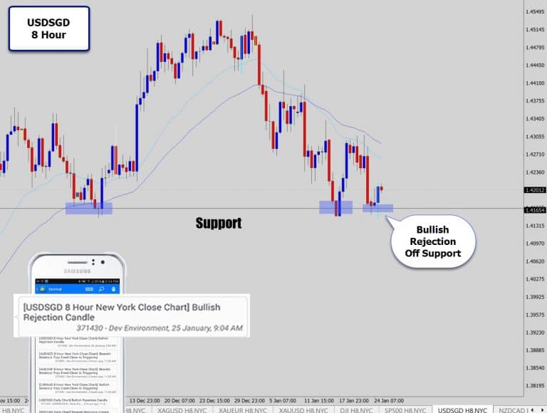 USDSGD 8 Hour – Bullish Reversal Signal Off Support Level