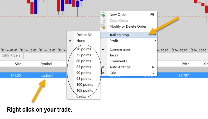 Trailing Stop Strategies Explained – The Forex Guy’s MT4 Trade Panel