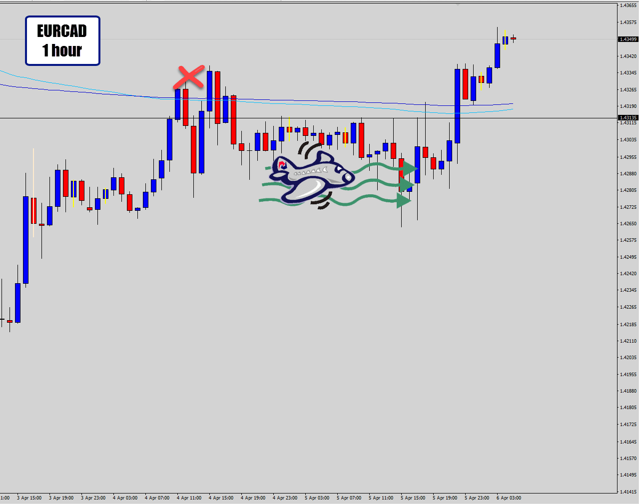 eurcad 1 hour trade result