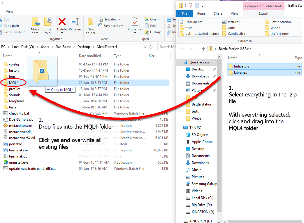 move files into mql4 folder