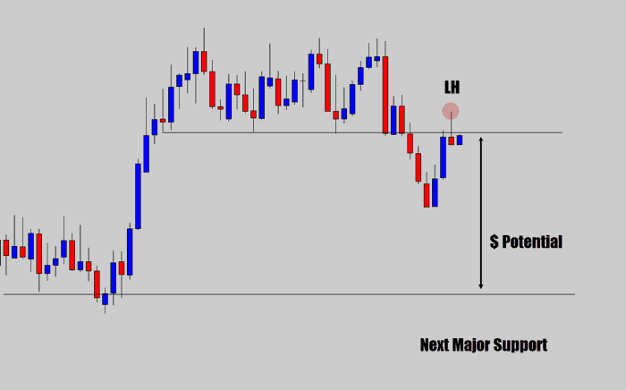 Line Break Chart Strategy