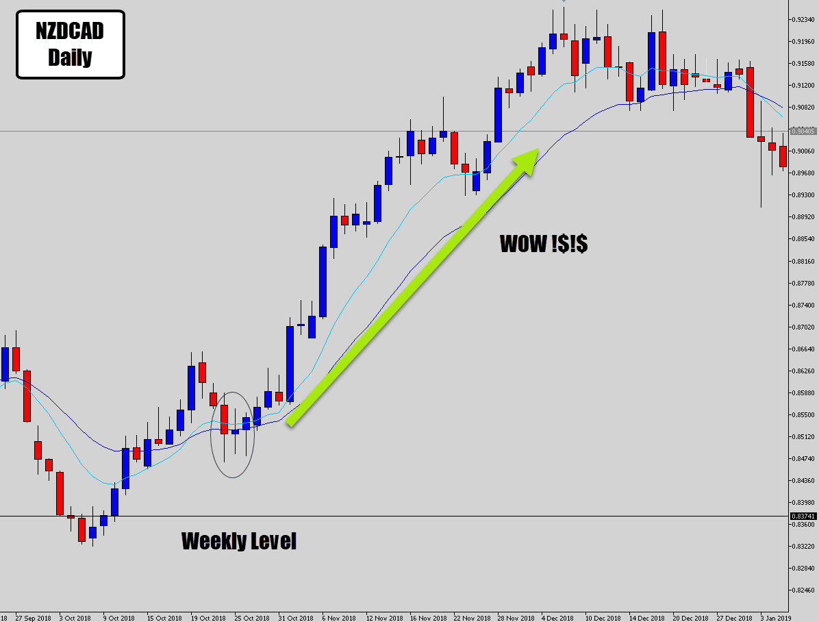 nzdcad trend explosion